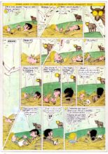 barneidor-taureau-conkhobar-4 barneidor-taureau-conkhobar-4
