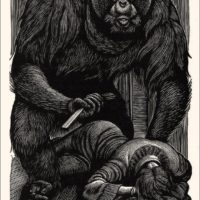 Les singes ont mauvais presse