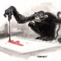 le singe et la petite culotte
