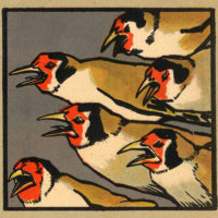 Rouges de colère