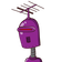 guest