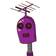 guest