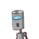 guest