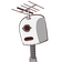 guest