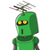 guest