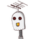 guest