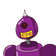 guest