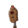 guest