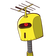 guest