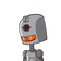 guest
