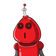 guest