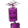 guest