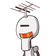 guest