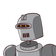 guest