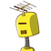 guest