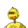 guest