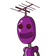 guest