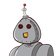 guest