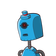 guest