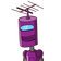 guest