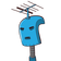 guest
