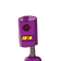 guest