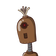guest