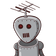 guest
