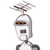 guest