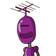 guest