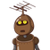 guest
