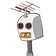 guest