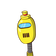 guest