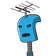 guest