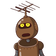 guest