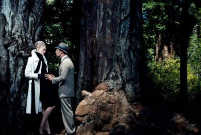 calcuer l’âge d’un arbre en deux leçons