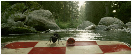 minuscule-la-vallee-des-fourmis-perdues