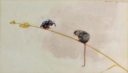 n.d. Mouse and Bee watercolour 22 x 37 cm