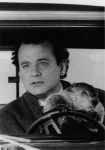 groundhog day wallpaper for mobile.jpg (1884×2676)