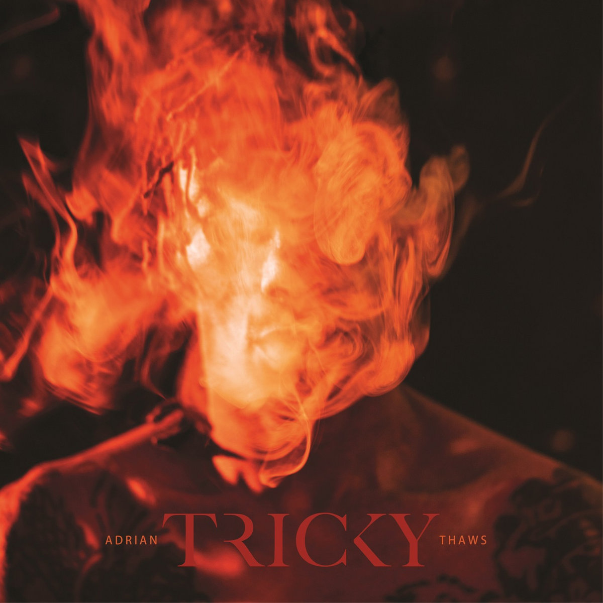 tricky adrian thaws cover
