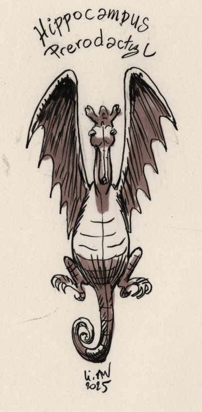 concours boutique mai 2025 hippocambe pterodactyl