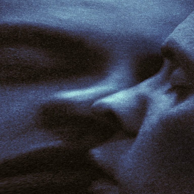 croaked dream puma blue cover