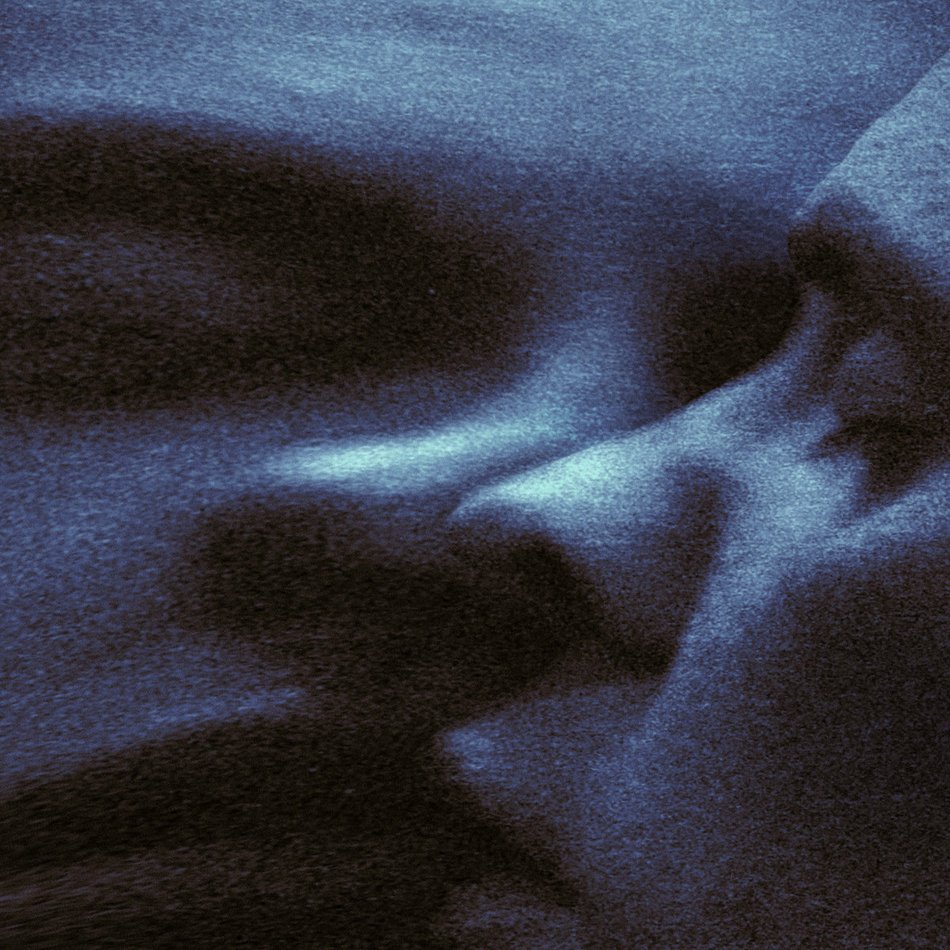 croaked dream puma blue cover