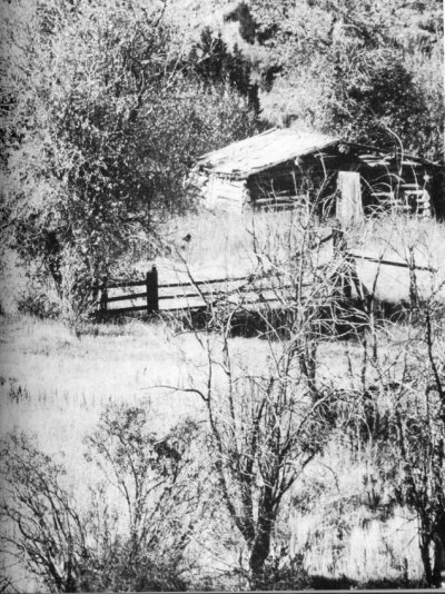 la cabane des sœurs Bassett